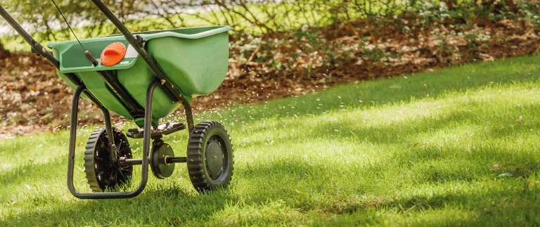 Lawn Maintenance & Weed Control by Precision in Manassas
