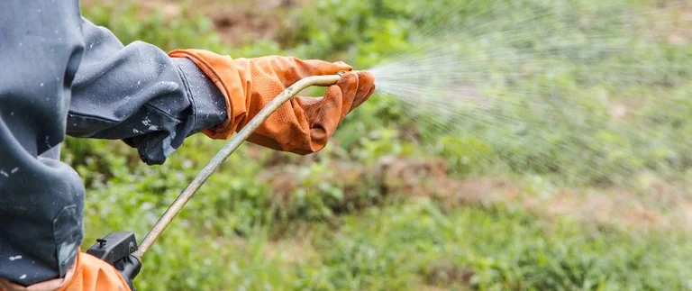 orange gloves spraying