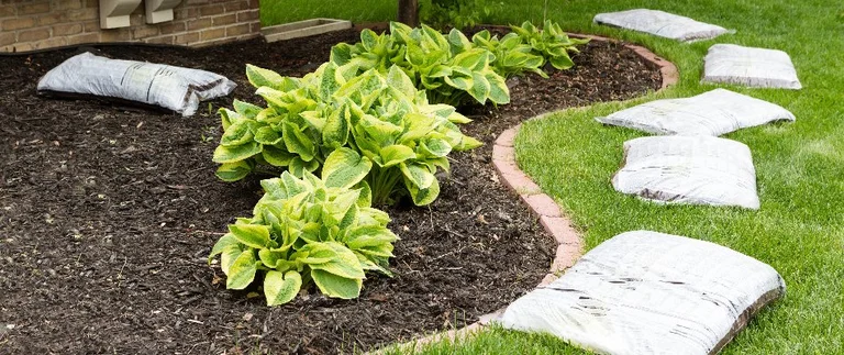 landscaping bed bags of mulch