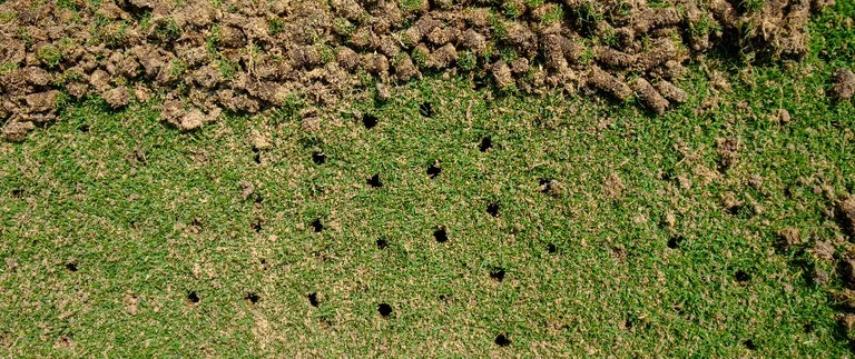 lawn that has been aerated