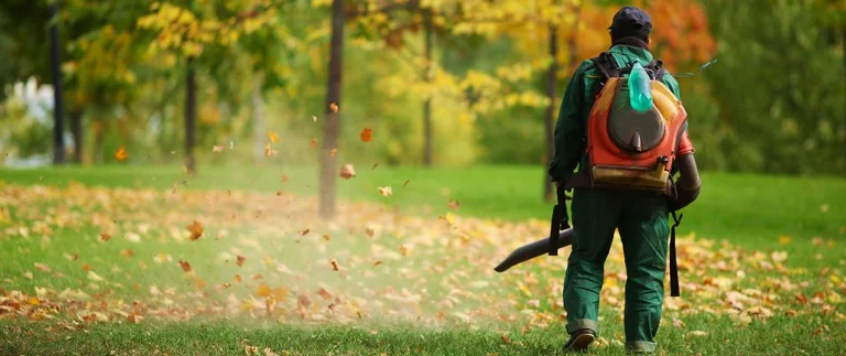 person blowing leaves