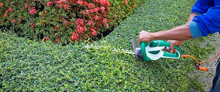 green shrub trimmer