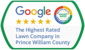 google highest rated