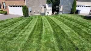 beautiful green lawn stripes