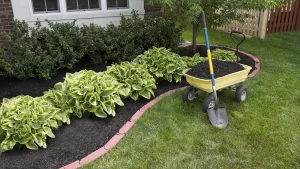 black mulch landscape