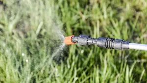 spraying chemical for lawn