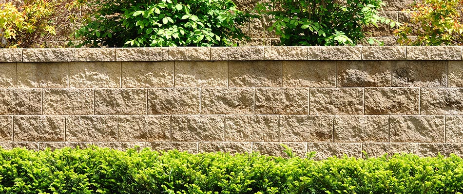 retaining wall shrubs