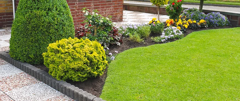 landscape bed plants