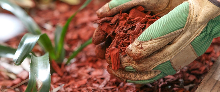 Mulch Installation