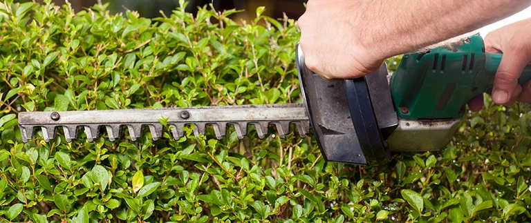 shrub trimming