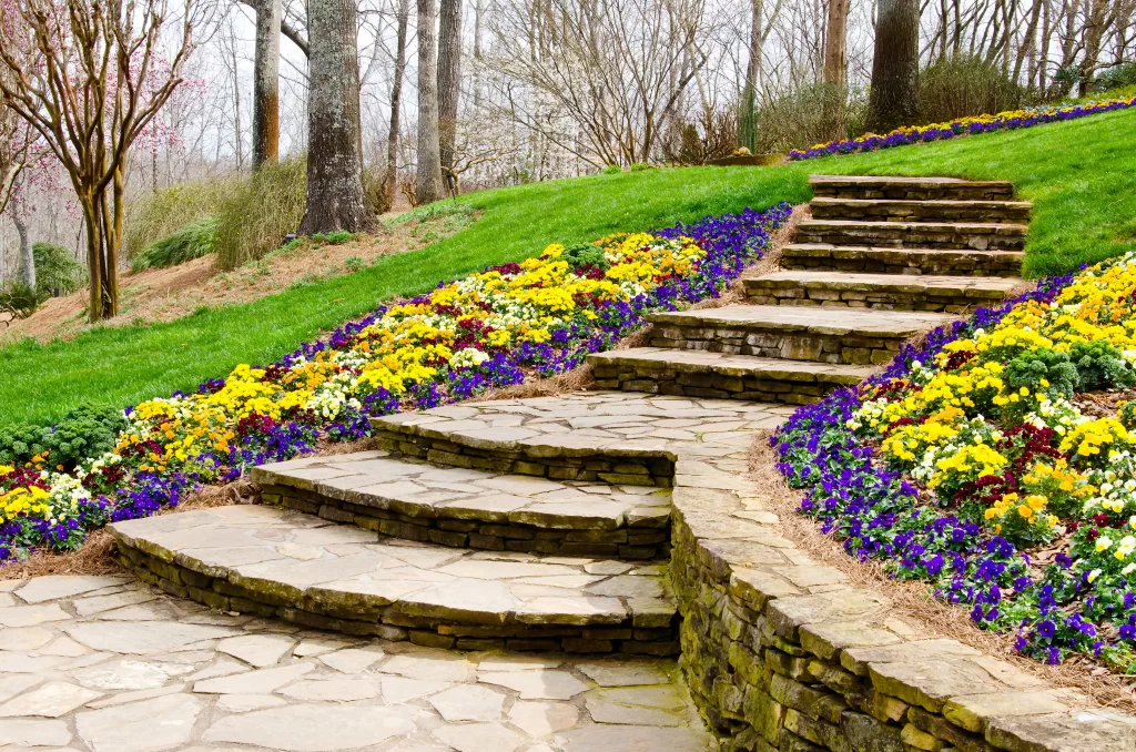 Precision Lawn & Landscape Services in Manassas 
