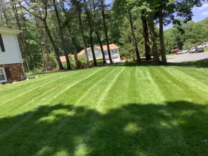 Top Lawn Care & Landscaping Mistakes to Avoid