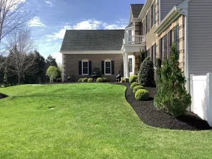 Landscaping for Curb Appeal