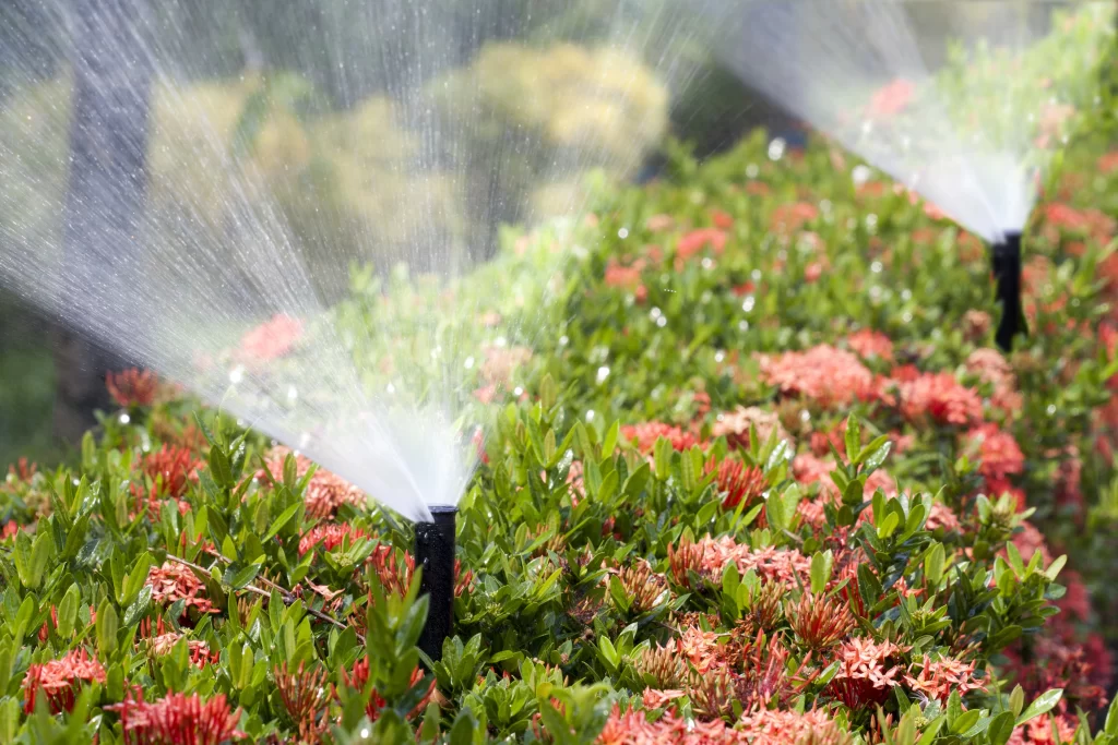 Save Water with Advanced IRRIGATION SERVICE Solutions
