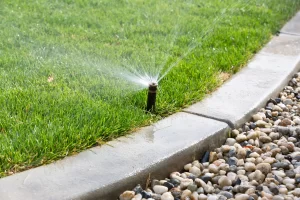 Why Regular IRRIGATION SERVICE is Crucial for Lawn Health