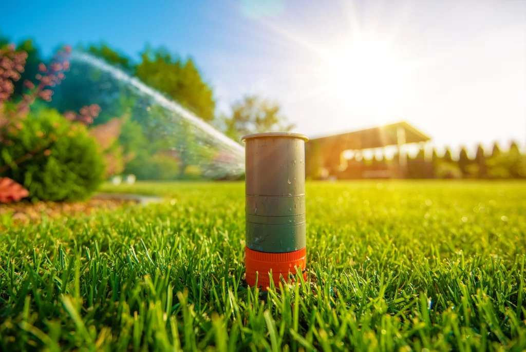 sprinkler on sunrise