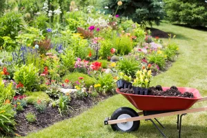 Top 10 Hardscape Ideas for Modern Gardens