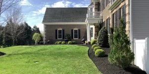 lawn maintenance
