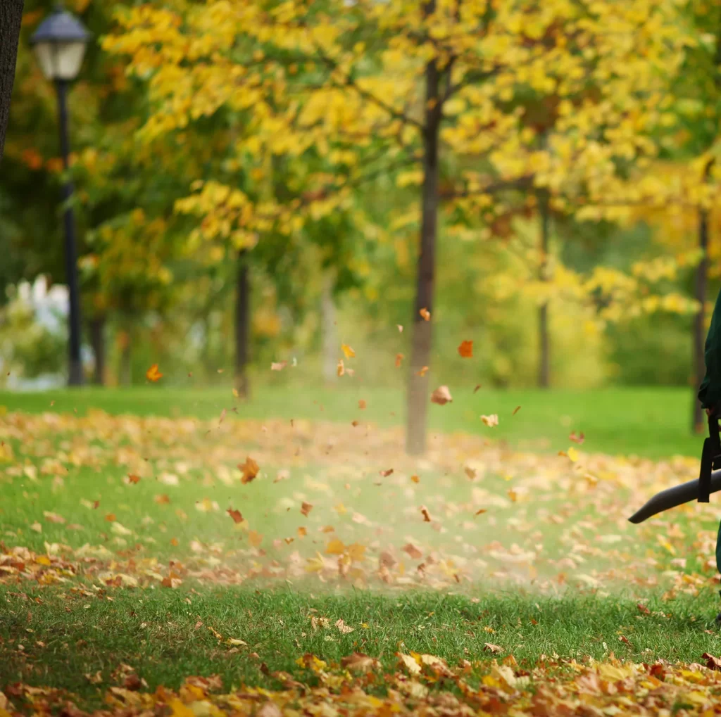 Leaf Removal Hacks for a Cleaner Yard
