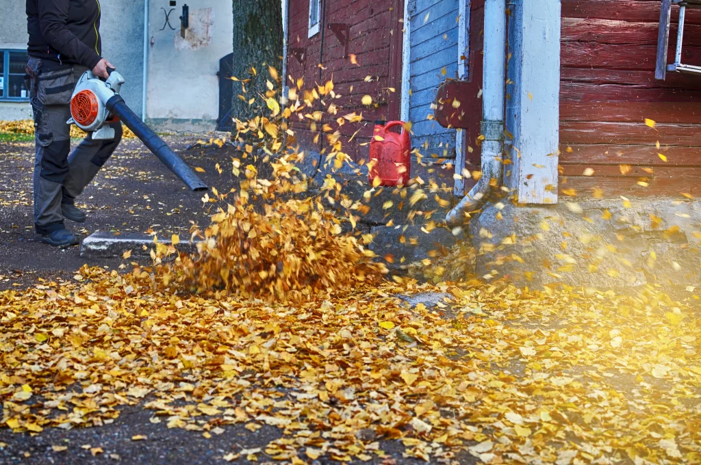 Leaf Removal Made Easy: How to Tackle Fall Cleanup Effortlessly
