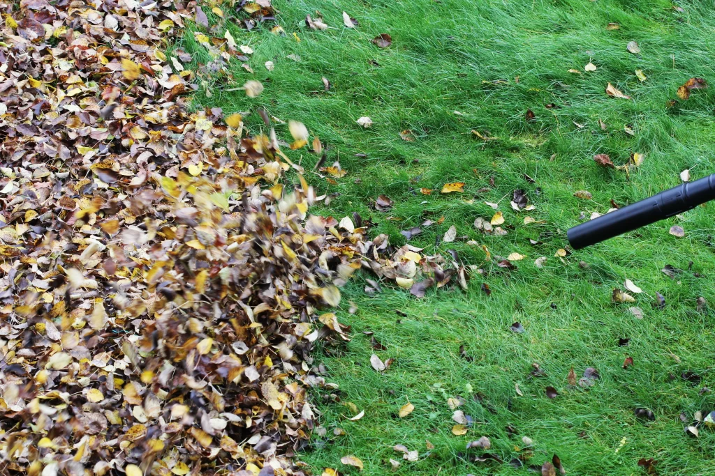 Effective Leaf Removal: Keep Your Yard Clear
