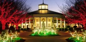 Manassas Holiday Lighting by Precision Lawn & Landscape