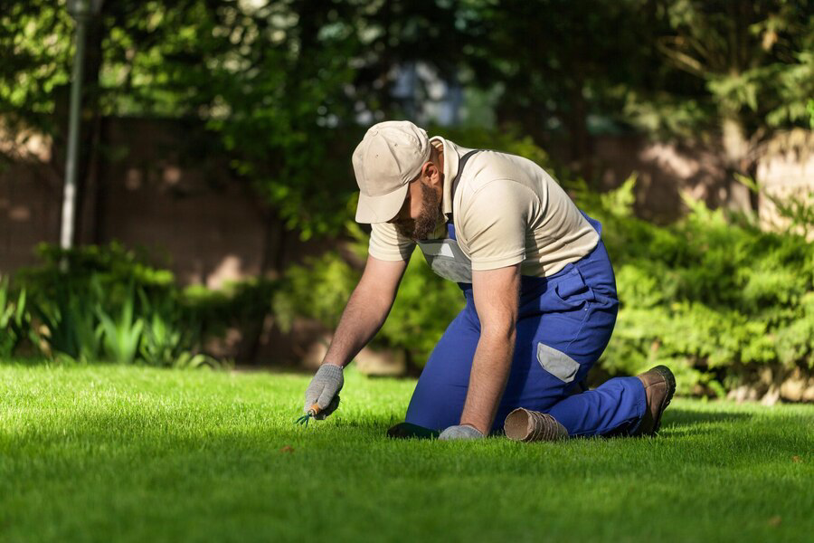 Precision Lawn & Landscape Quality Sod Installation in VA
