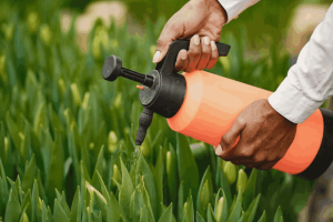 Lawn Fertilization Experts Precision in Manassas, VA