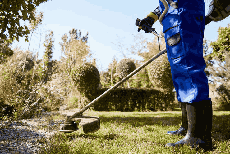 The Importance of Seasonal Cleanup for Your Yard
