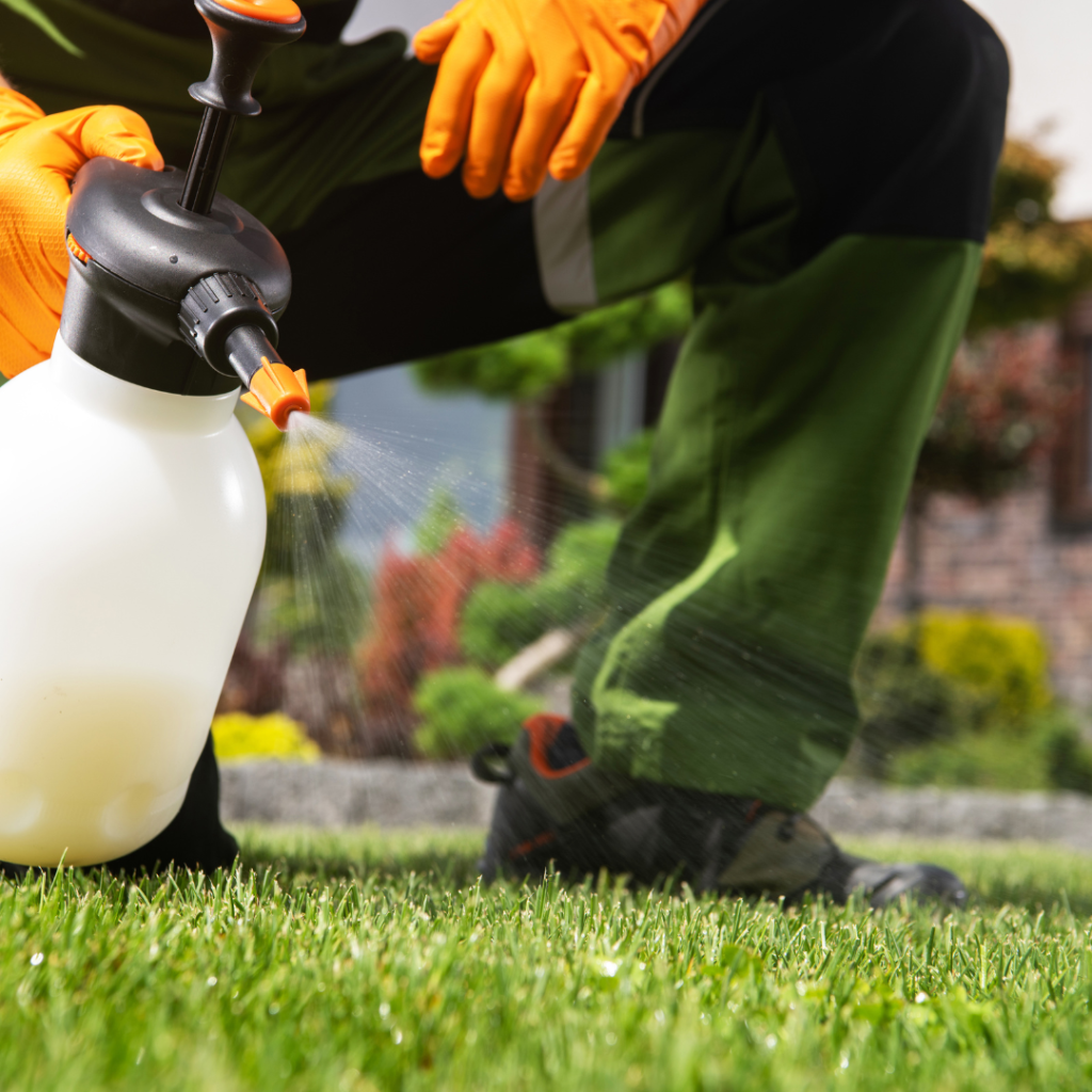 The Ultimate Guide to Lawn Insect Control
