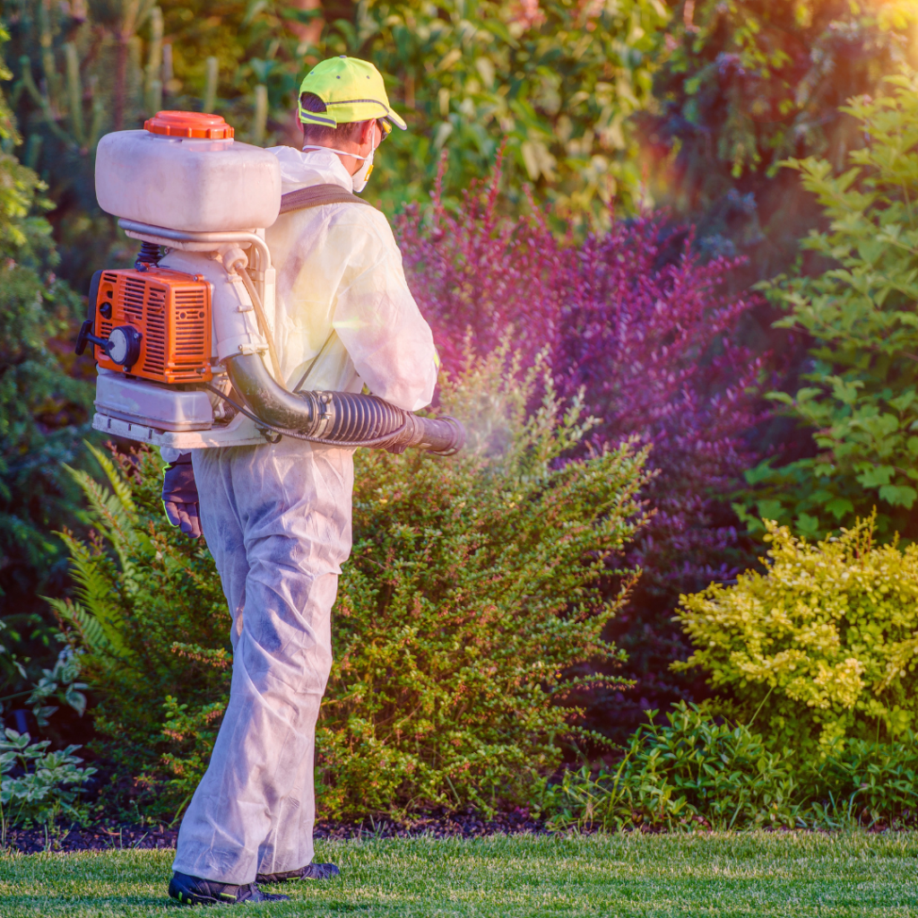  Preventative Measures for Lawn Insect Control
