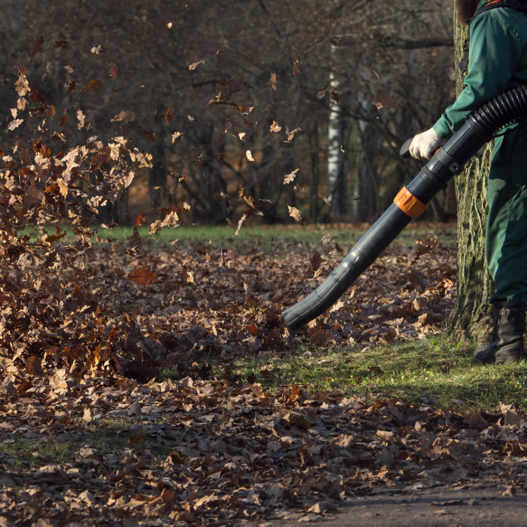 Leaf Removal in Lawn Health
