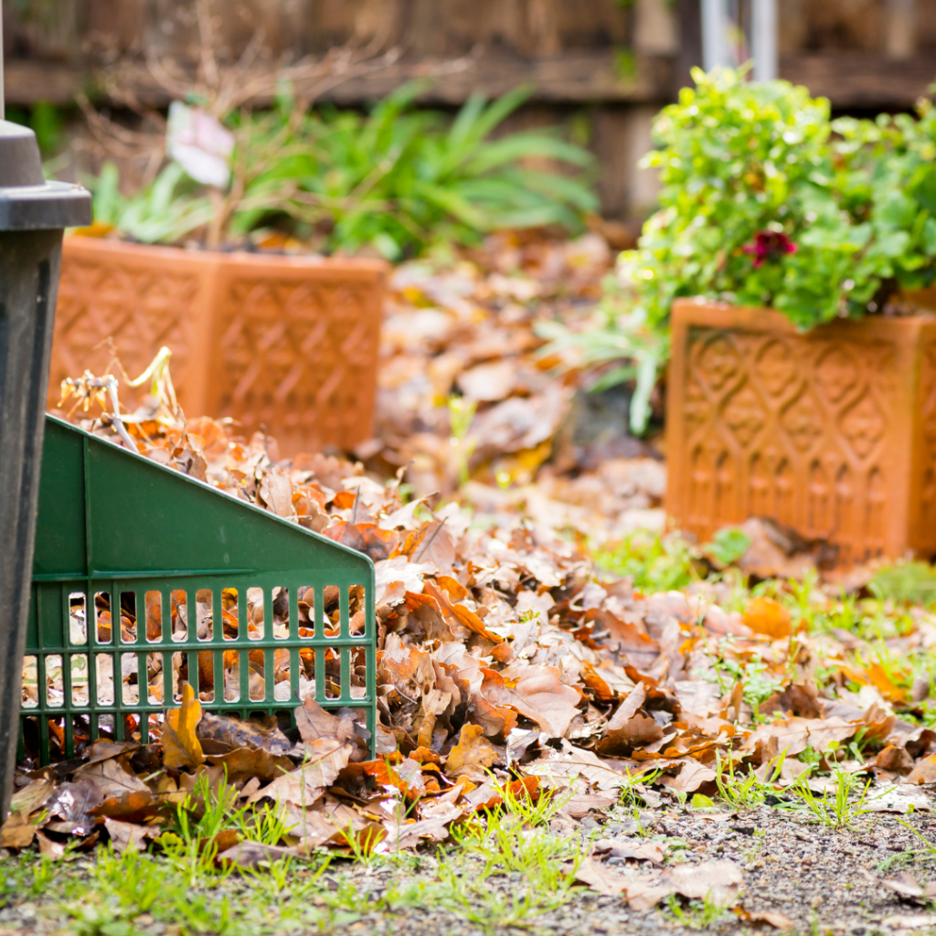 Low-Maintenance Landscape
