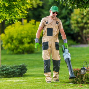 How to Develop a Year-Round Lawn Care Routine