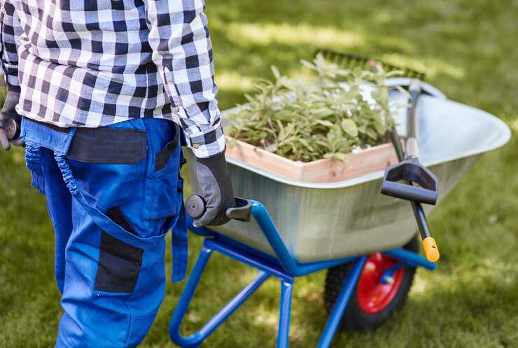 Fresh Yard: Spring Cleaning Tips
