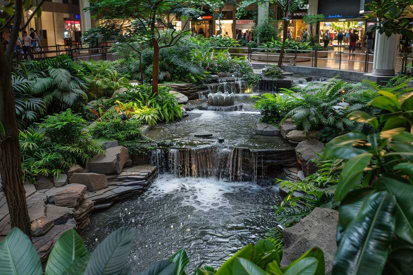 Incorporating Water Features into Your Hardscape
