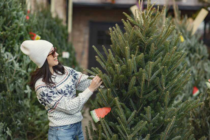 Seasonal Landscaping: Winter Survival Guide
