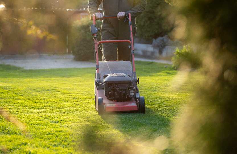 gainesville va lawn mowing