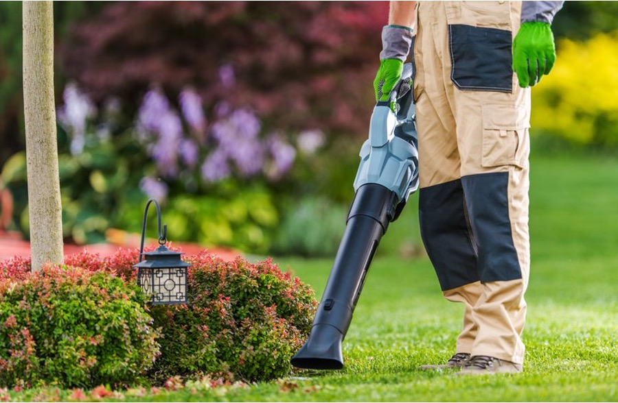 Fairfax VA lawn mowing