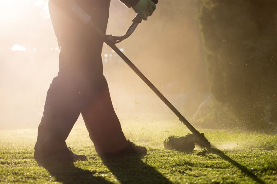 lawn mowing service