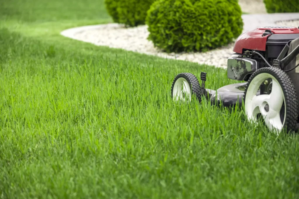 Residential Lawn Care Services in McLean