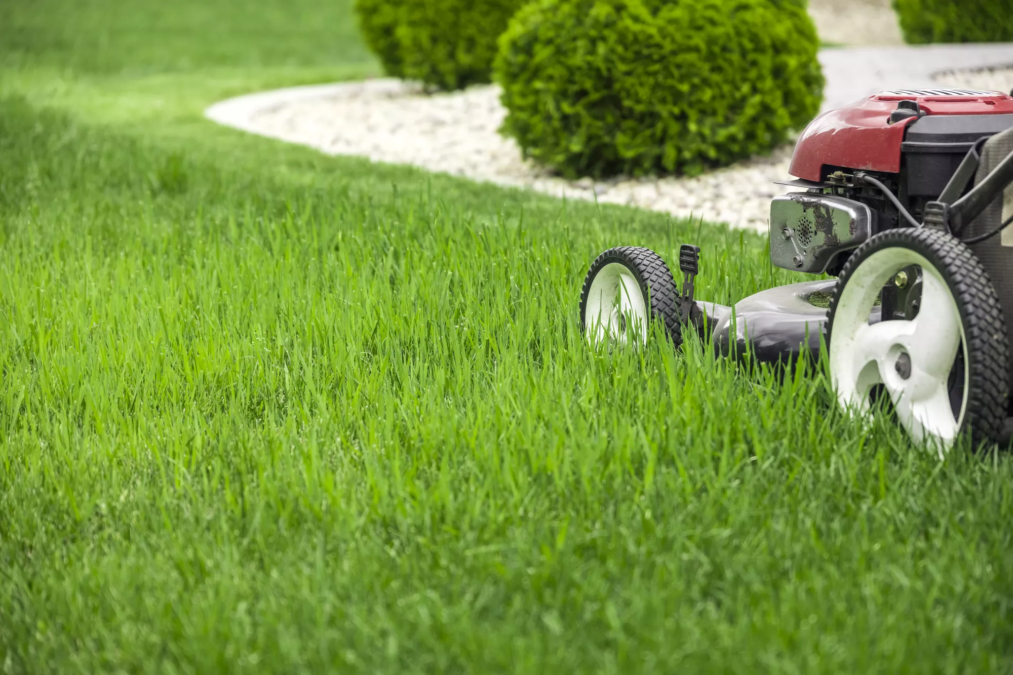 Residential Lawn Care Services in McLean