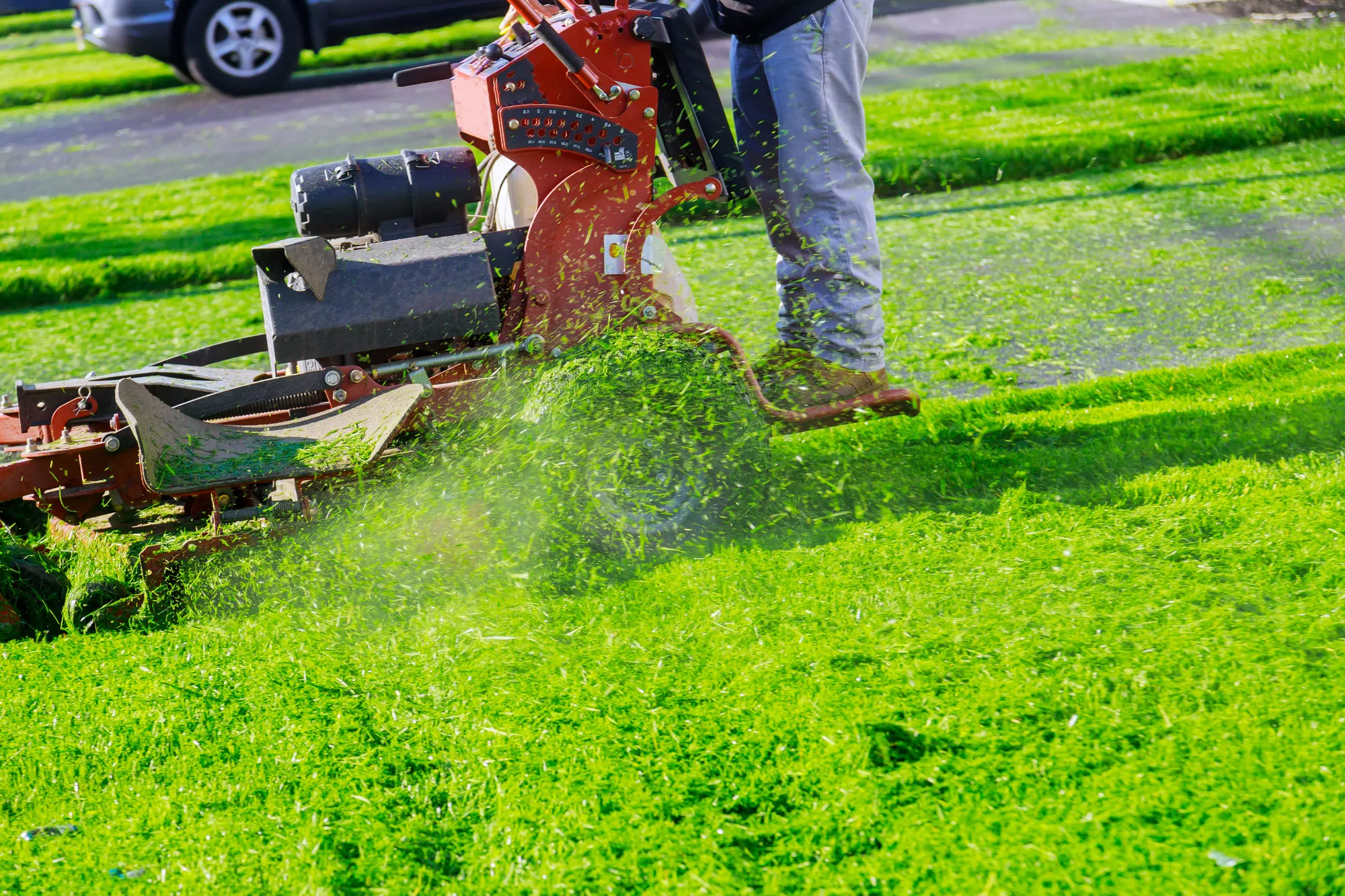 lawn care great falls