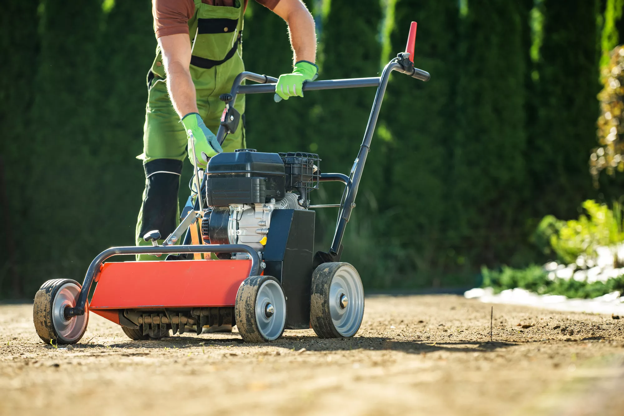 Aeration & Overseeding
