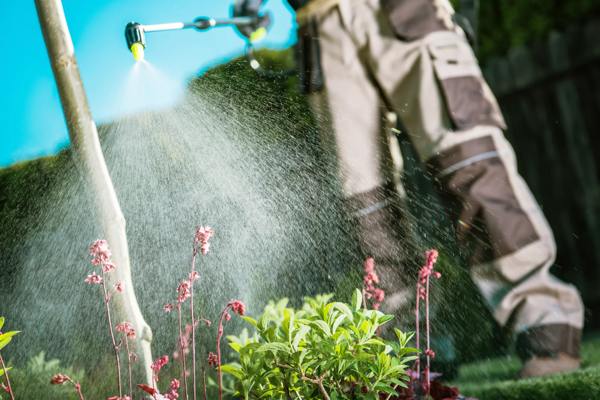 Fertilization & Weed Control