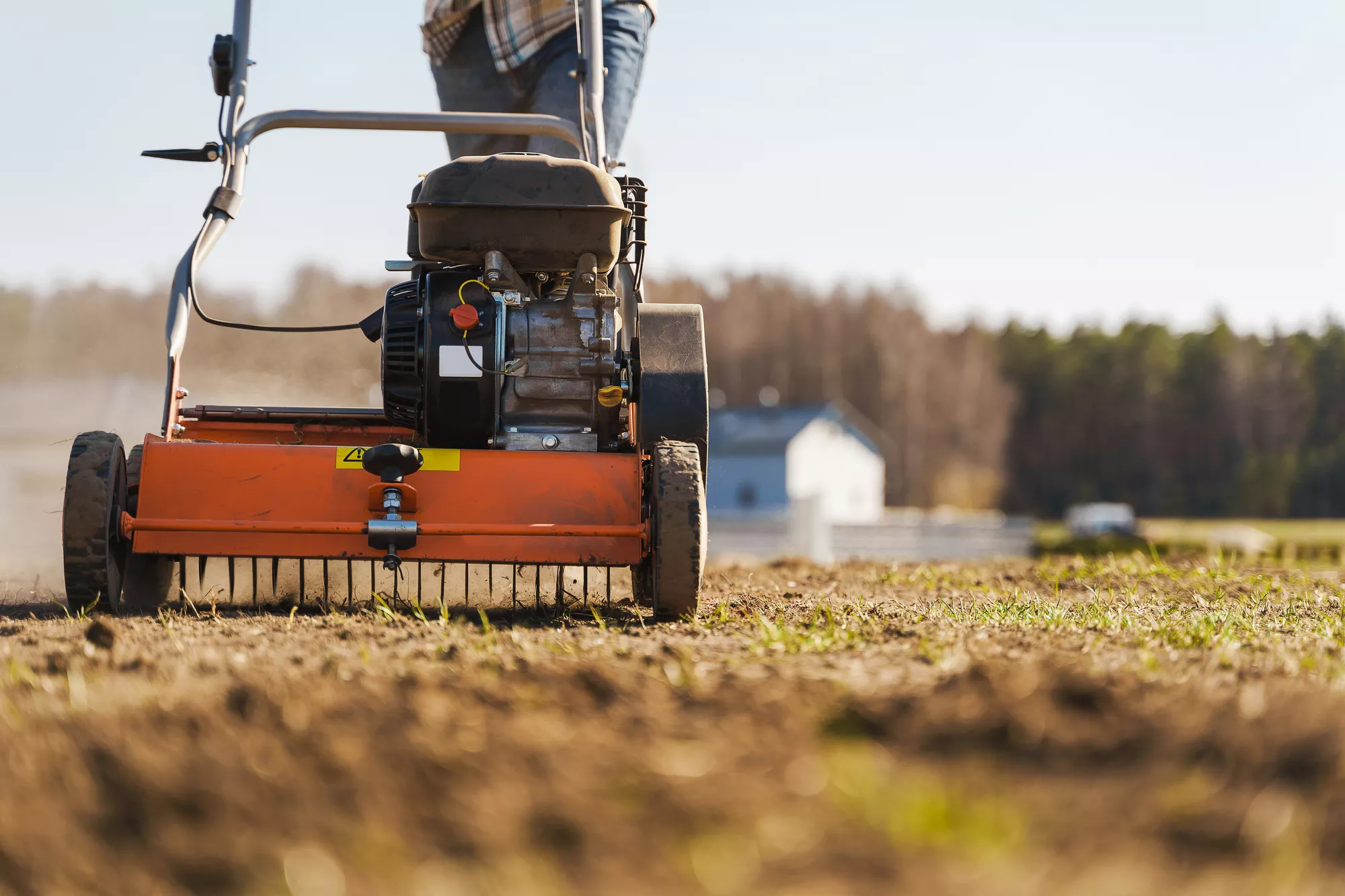 Lawn Aeration