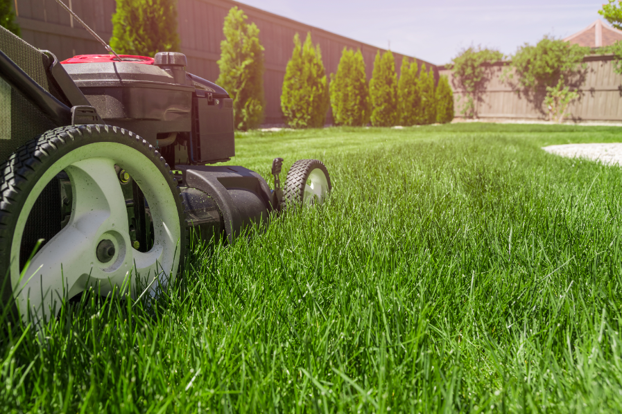 Ashburn VA lawn mowing